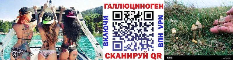 Псилоцибиновые грибы мухоморы  купить закладку  Алдан 